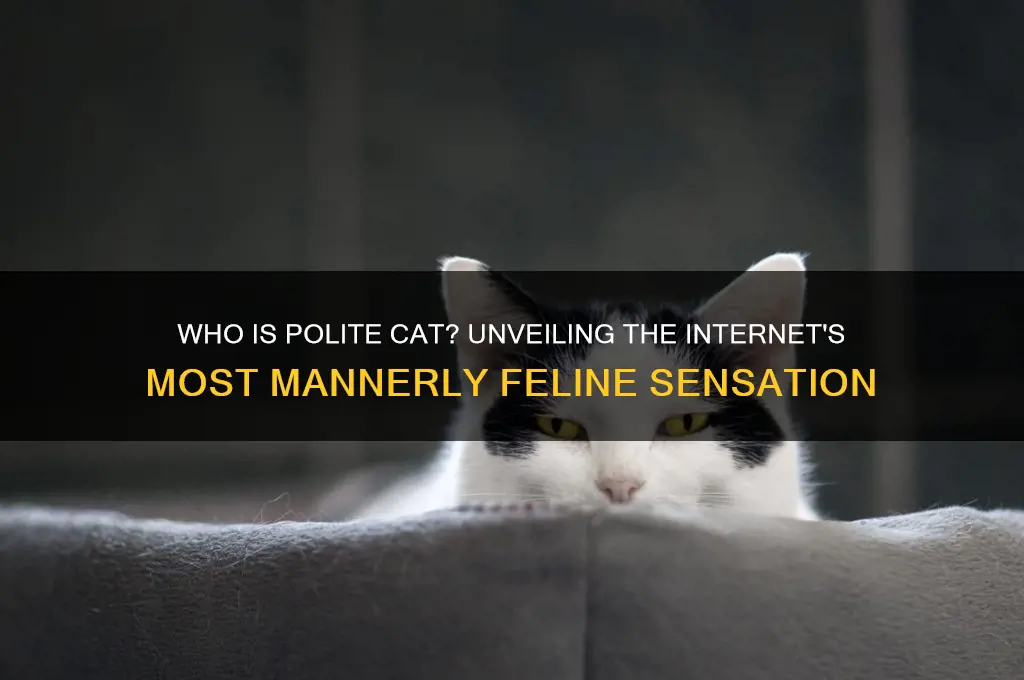 who is polite cat