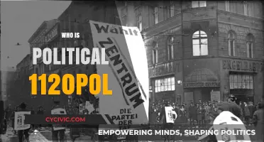 Unveiling the Identity and Influence of Political Figure 1120pol