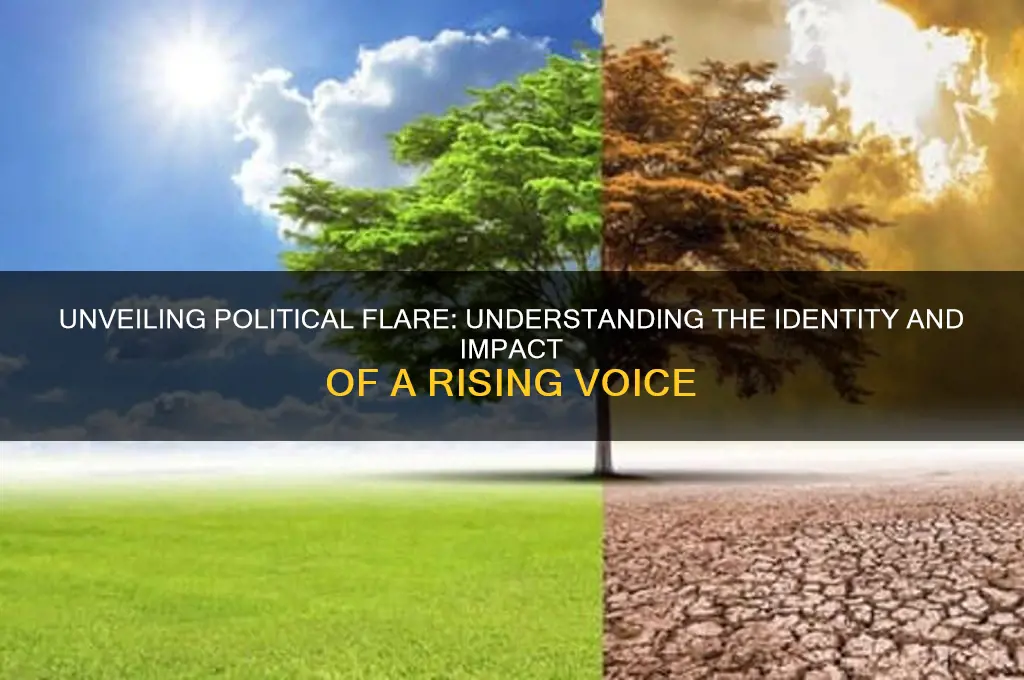 who is political flare