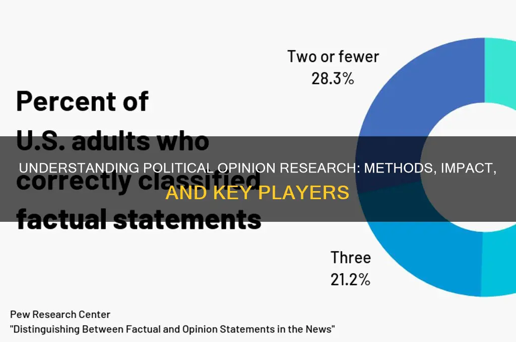 who is political opinion research