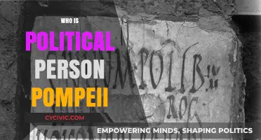 Unveiling Pompeii's Political Figure: A Historical Deep Dive
