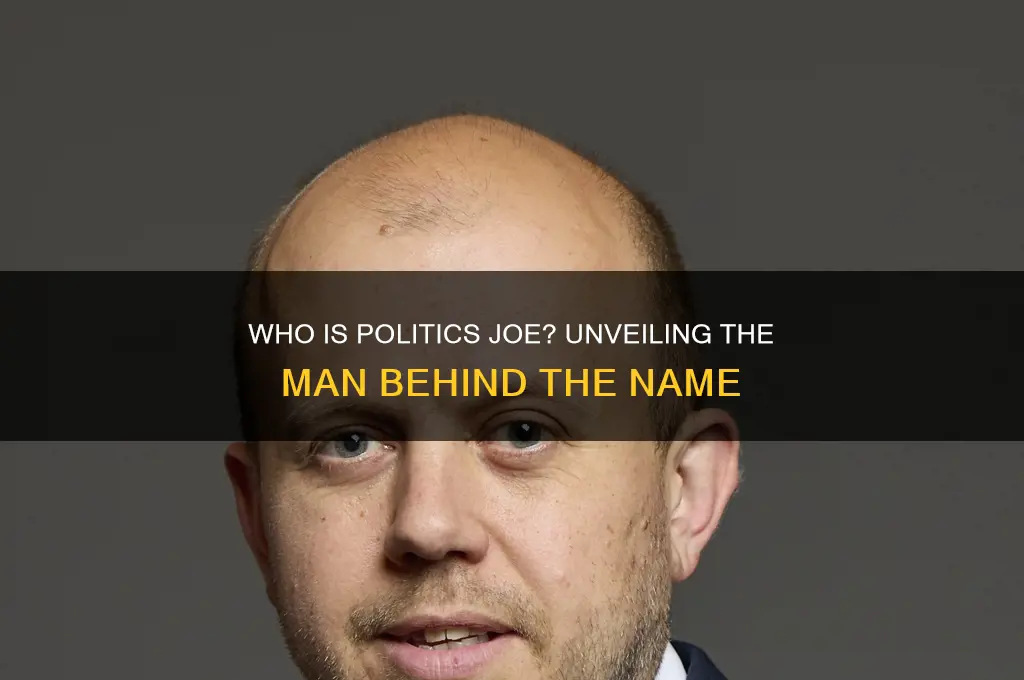 who is politics joe