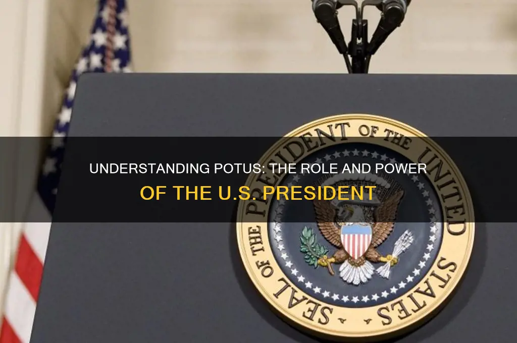 who is potus in politics