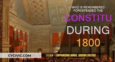 The Constitution's 1800s Defender: Who Was Remembered?