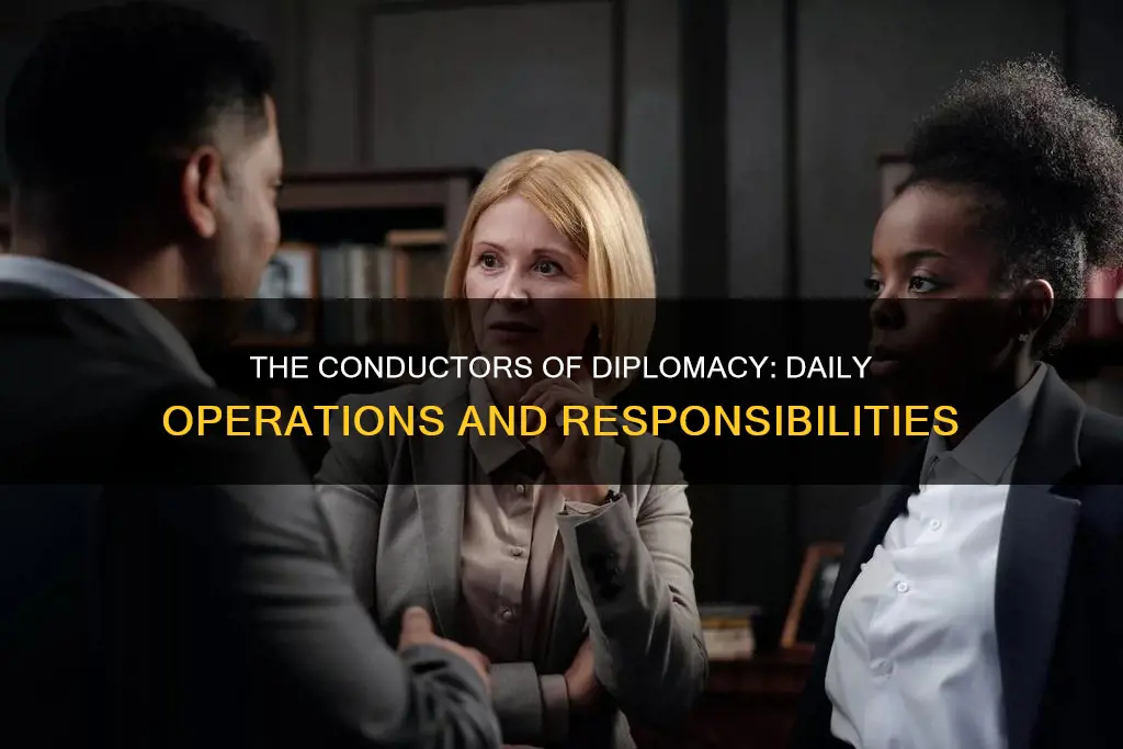 who is responsible for day to day diplomacy