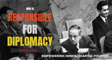 Diplomacy: Whose Responsibility?