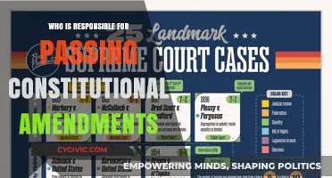 The People's Power: Passing Constitutional Amendments