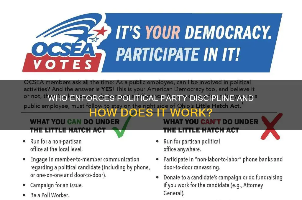 who is responsible for political party discipline