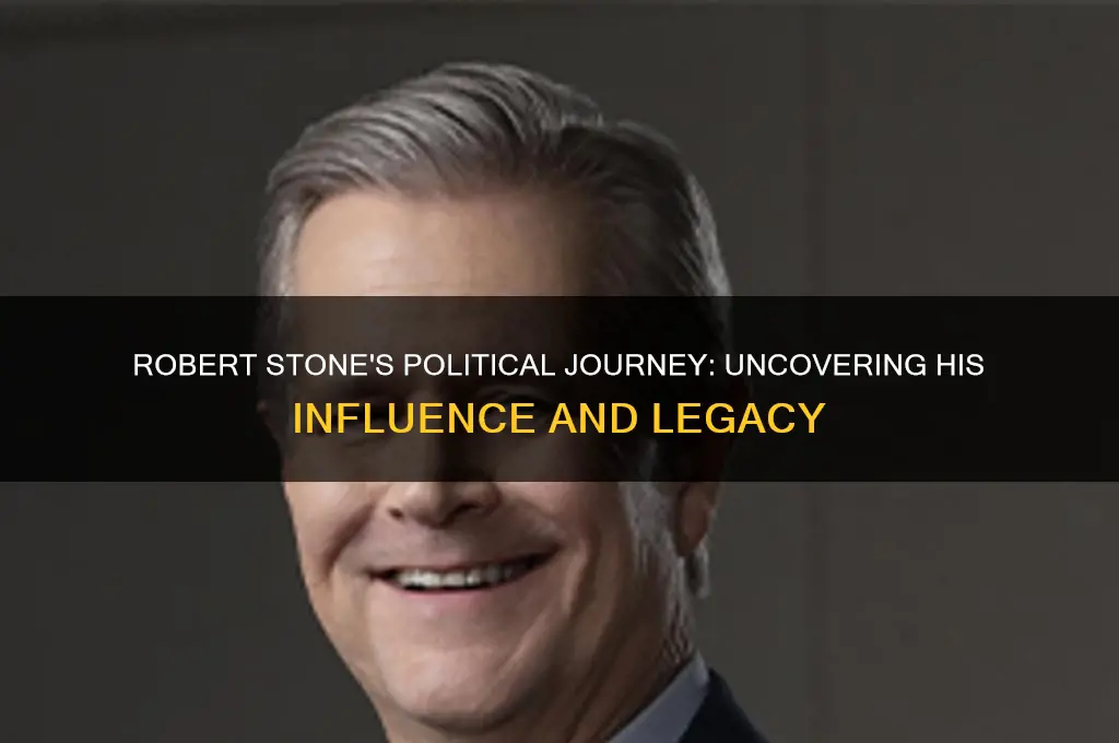who is robert stone politics