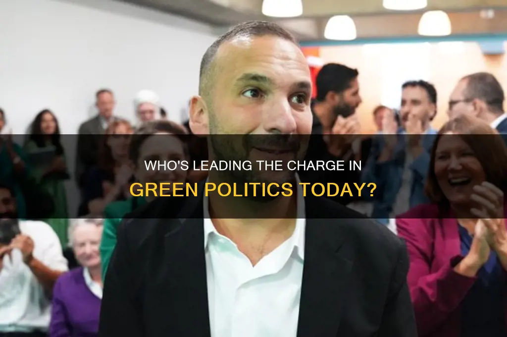 who is running green politics