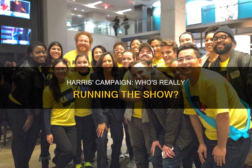 who is running harris campaign
