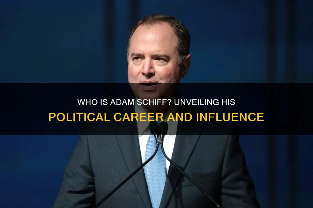 who is schiff in politics