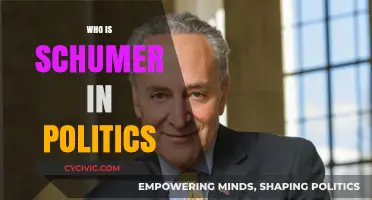 Who is Schumer? Unveiling the Political Powerhouse's Impact and Influence