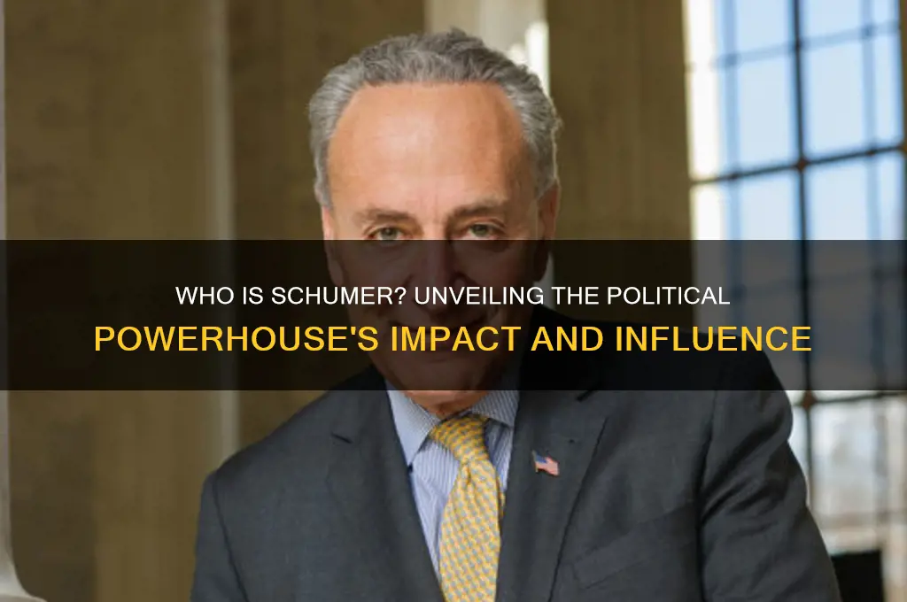 who is schumer in politics