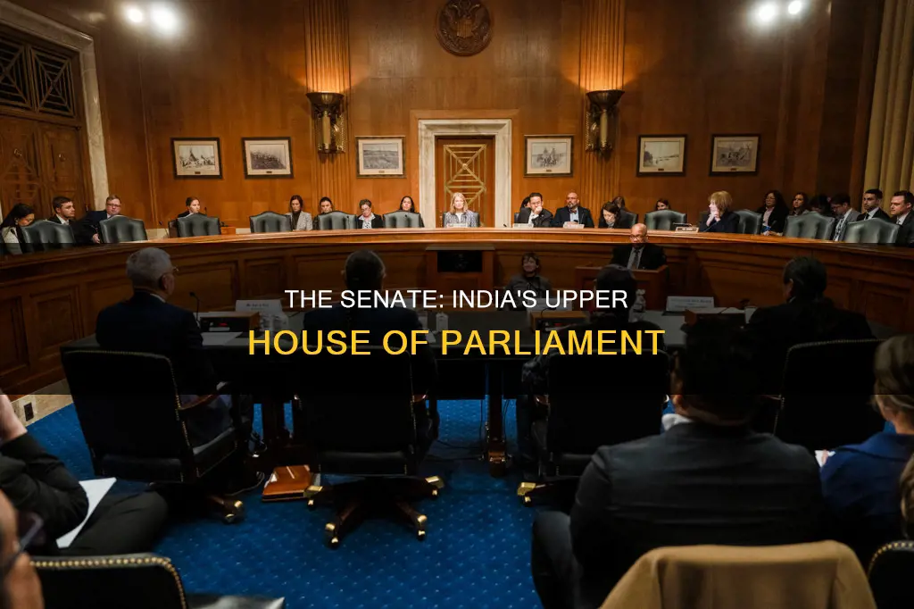 who is senate as per indian constitution