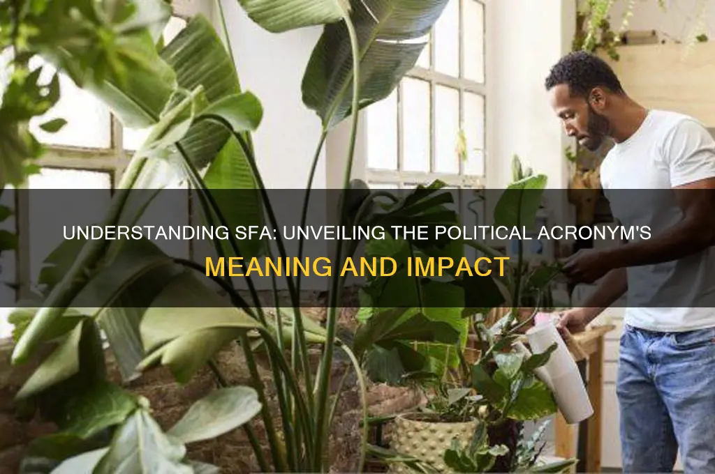 who is sfa in politics