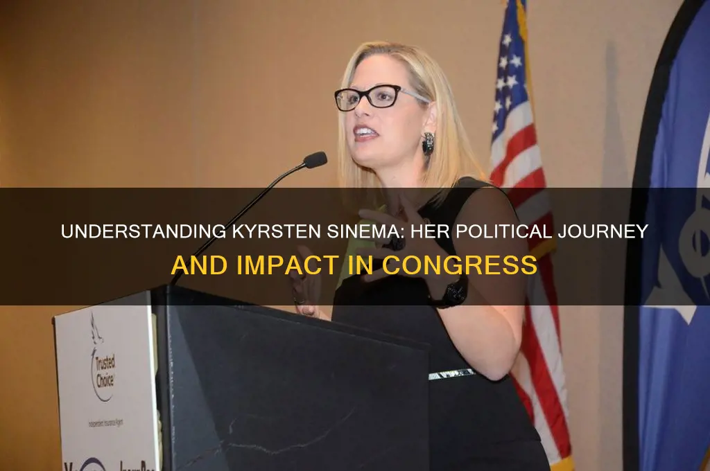 who is sinema in politics