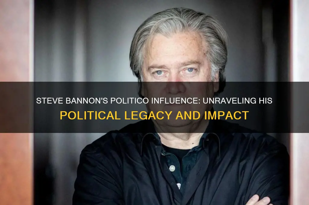 who is steve bannon politico