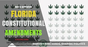 Floridians Supporting Amendments: Who's Behind the Changes?