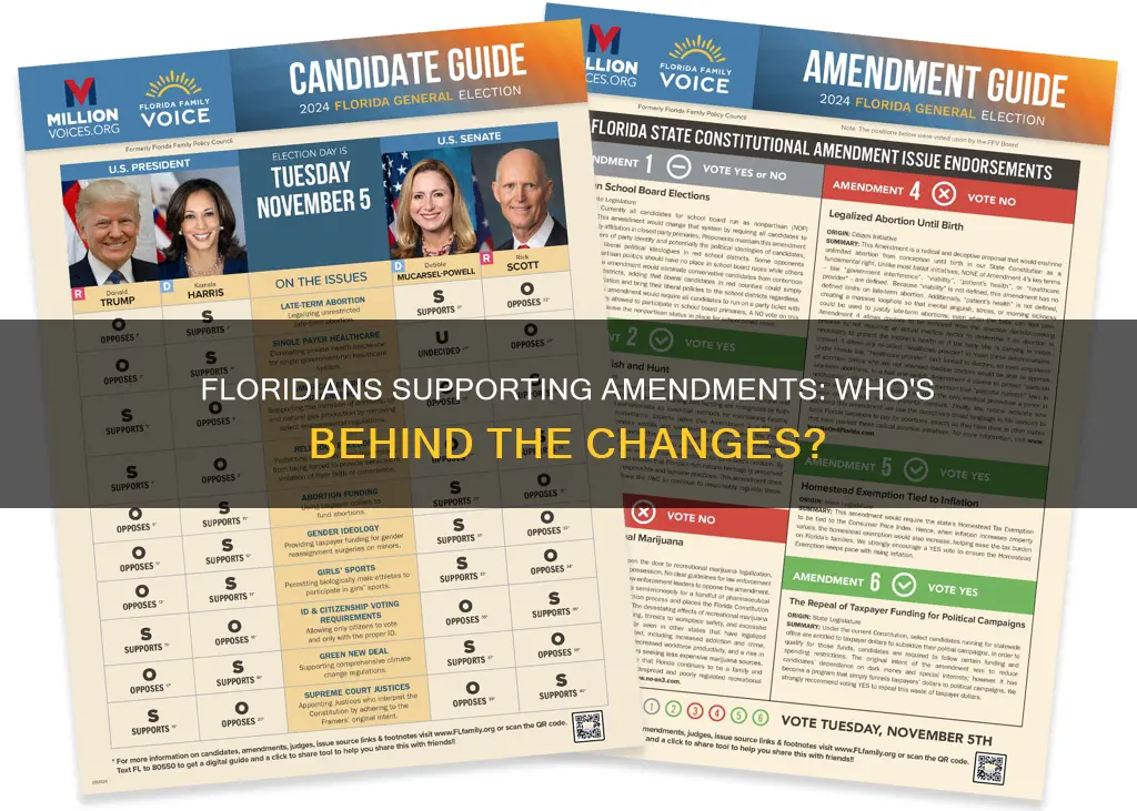 who is supporting florida constitutional amendments