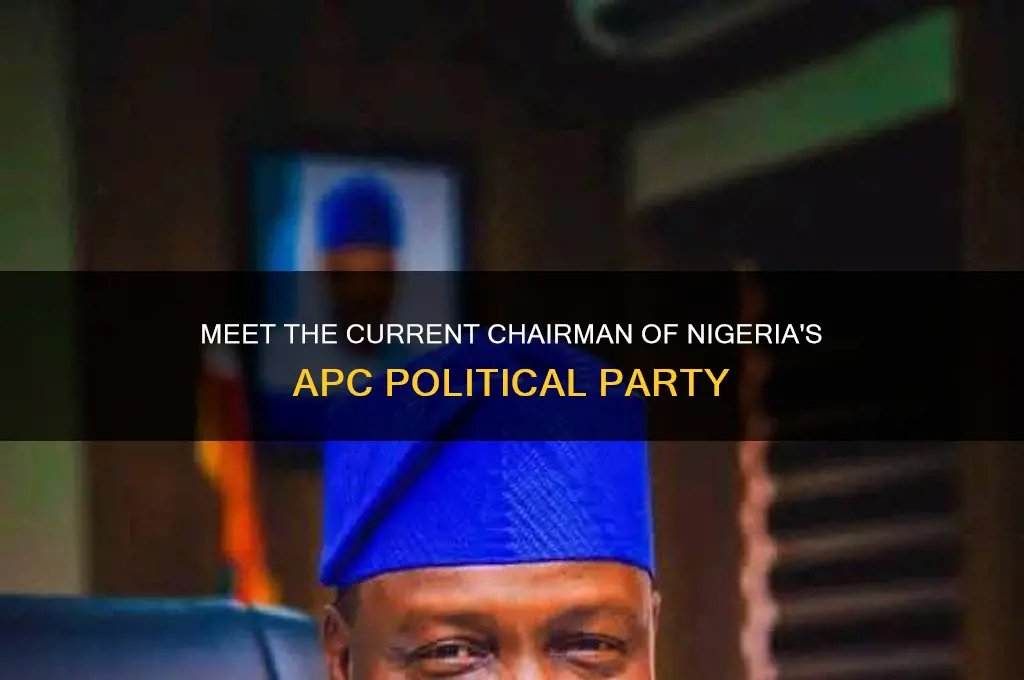 who is the chairman of apc political party in nigeria