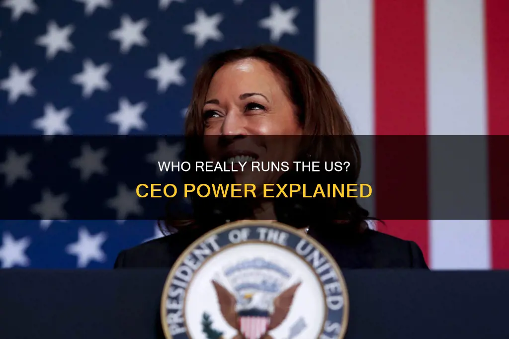 who is the chief executive officer of the us