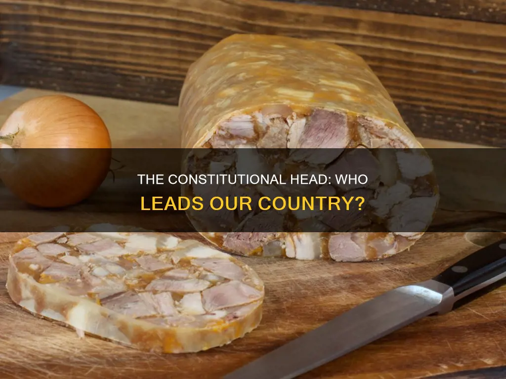 who is the constitutional head of our country