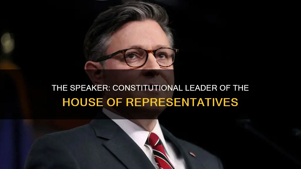 who is the constitutional leader of the house of representatives