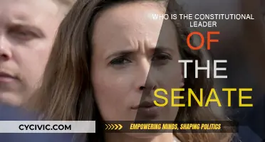 The Constitutional Leader of the Senate: Who's in Charge?