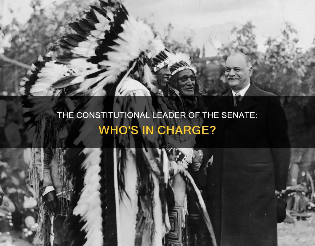 who is the constitutional leader of the senate
