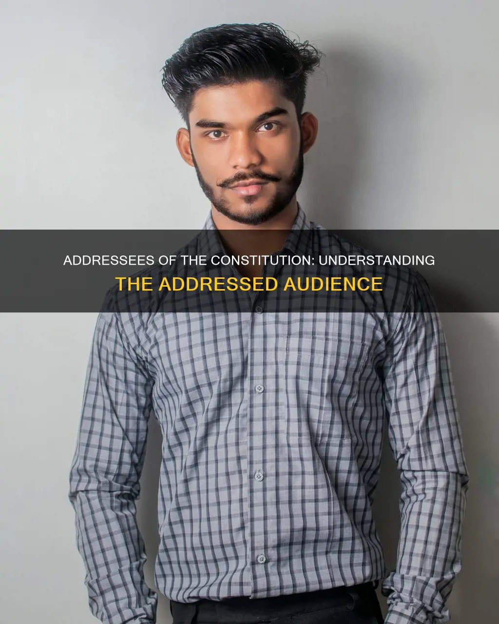 who is the context of constitution addressed to