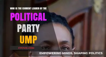 Who Leads the UMP? Current Leader of the Political Party