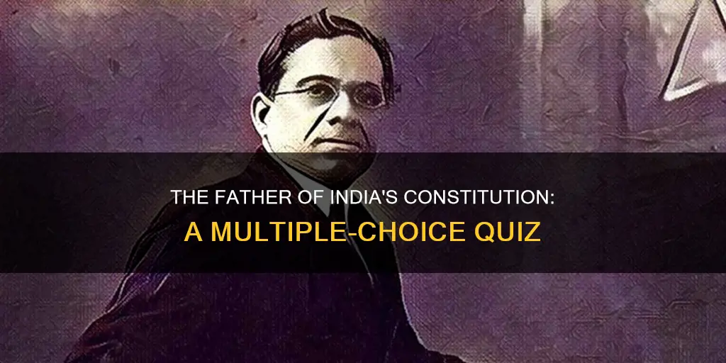 who is the father of the constitution of india mcq