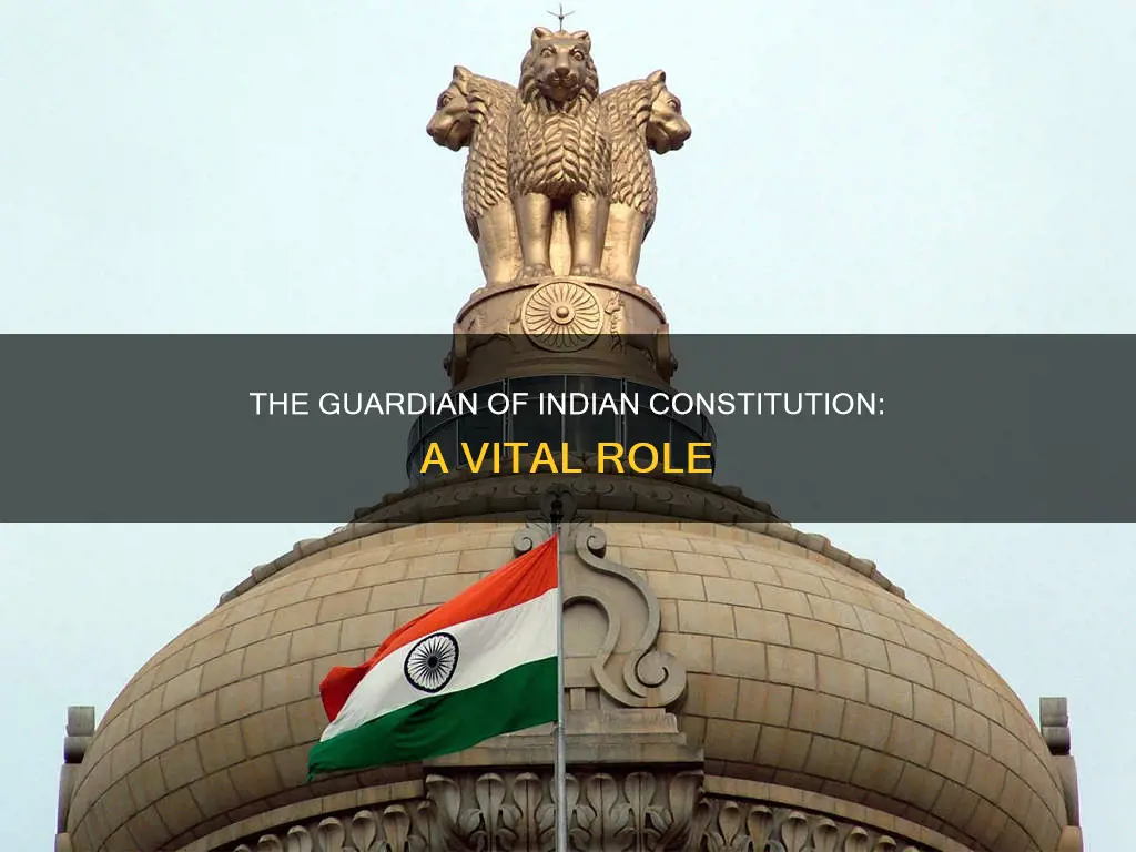 who is the guardian of indian constitution