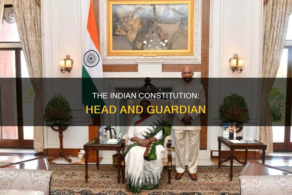 who is the head of indian constitution