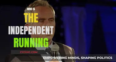 The Independents: Who's Running and Why?