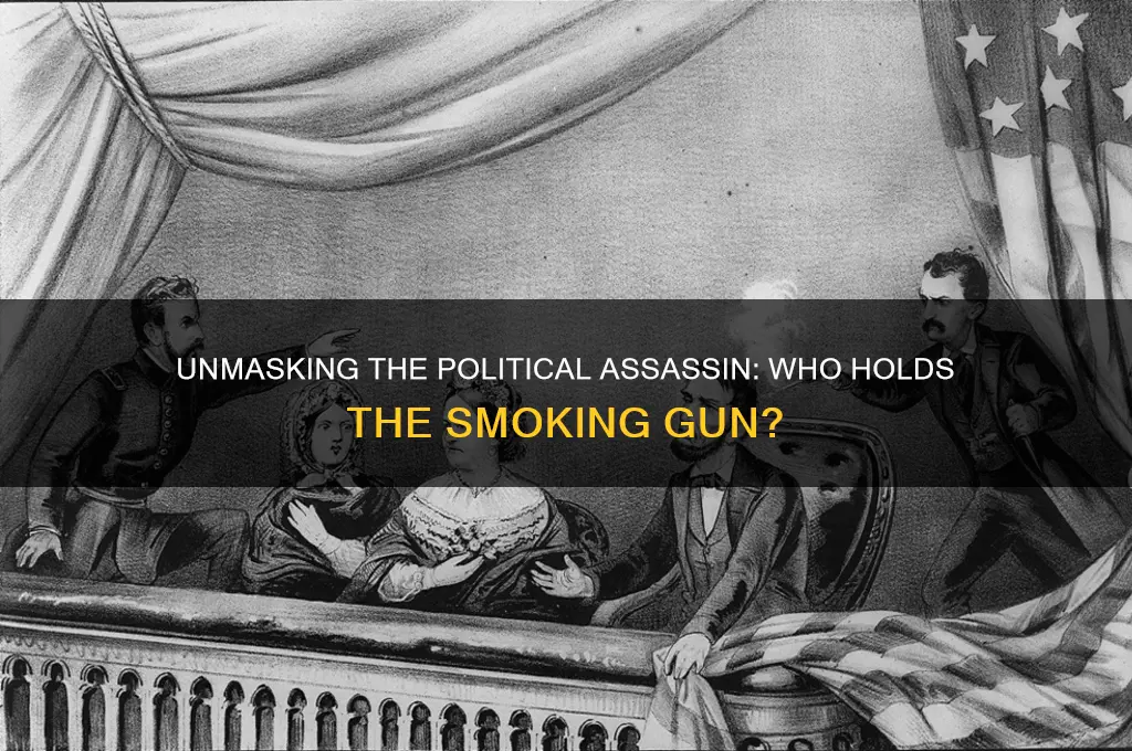 who is the killer political