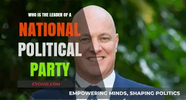 Understanding the Role and Influence of National Political Party Leaders