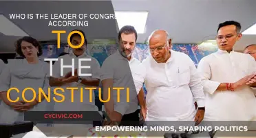 Leadership in Congress: Who's in Charge?