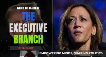 The Executive Branch: Who Leads and How?