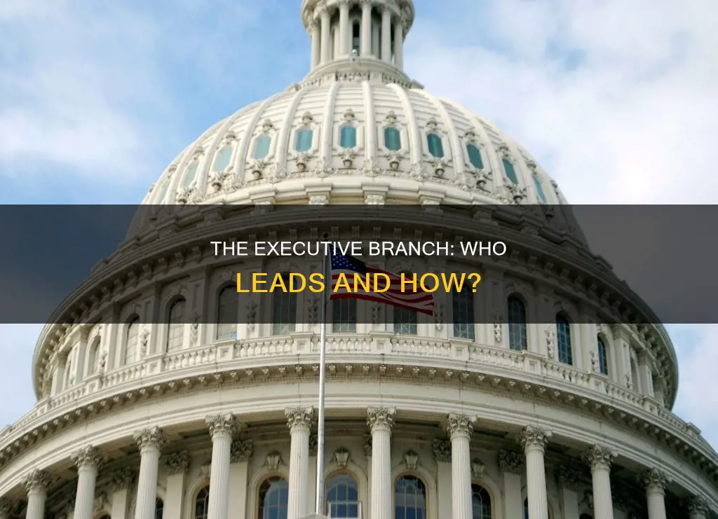 who is the leader of the executive branch