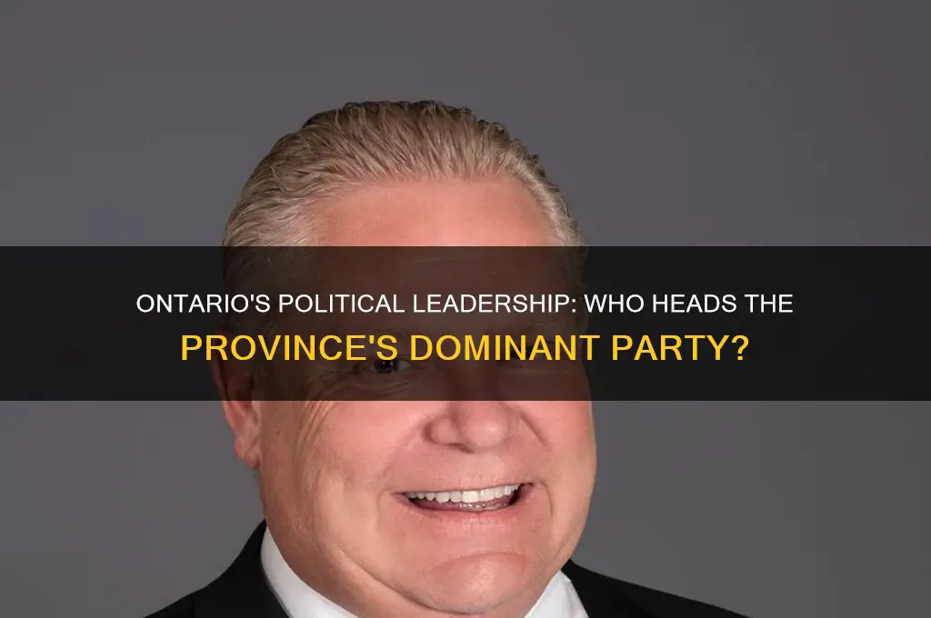 who is the leader of the political party in ontario