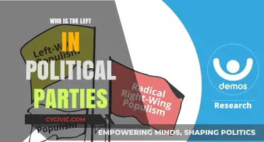 Understanding the Left: Political Ideologies and Party Alignments Explained