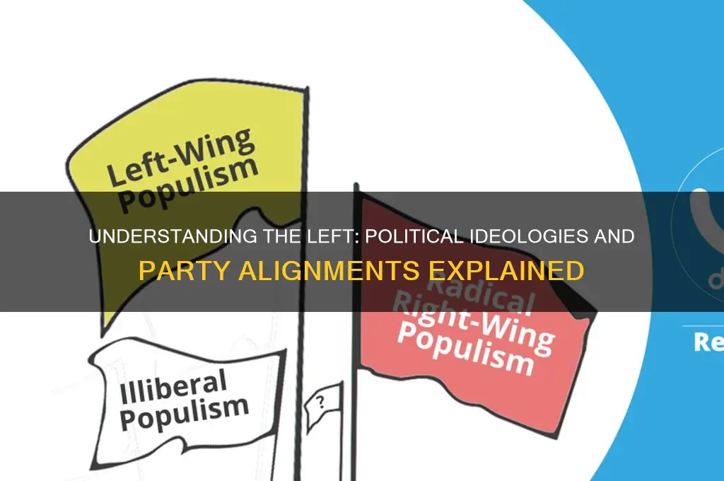 who is the left in political parties