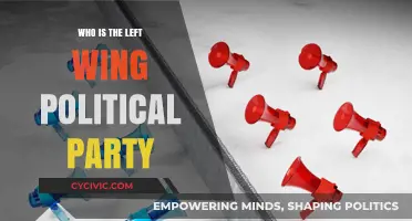 Understanding Left-Wing Political Parties: Ideologies, Goals, and Global Influence