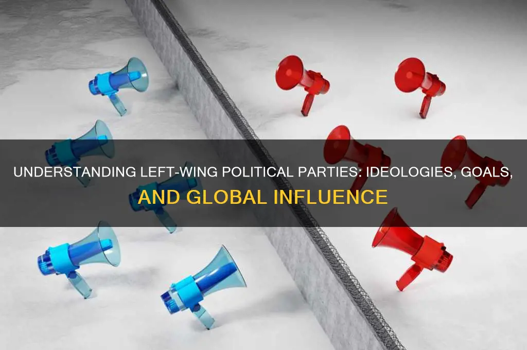who is the left wing political party