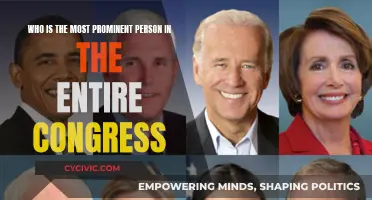Who's the Most Powerful Person in Congress?
