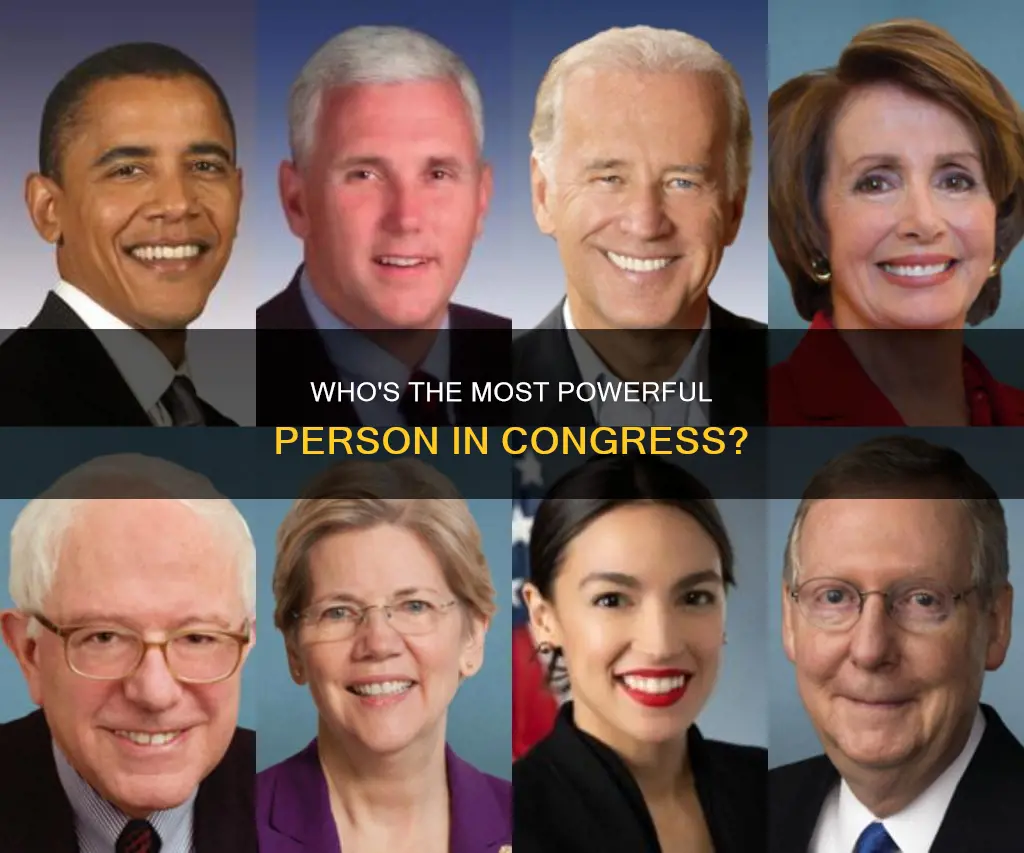 who is the most prominent person in the entire congress