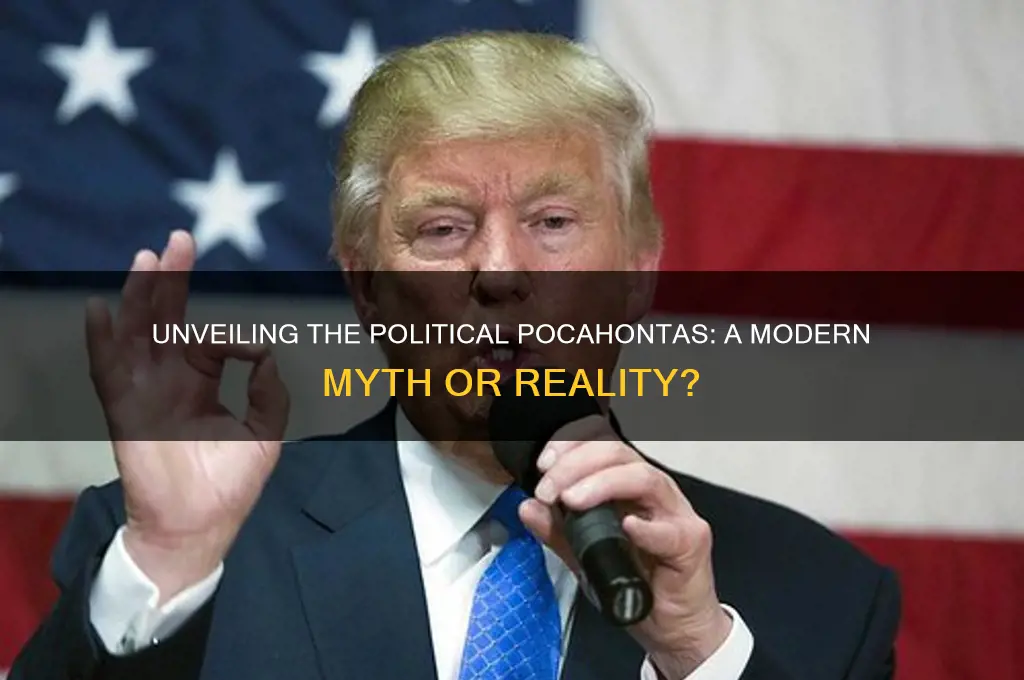 who is the political pocahantis
