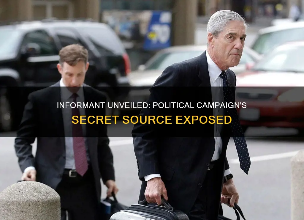 who is the political presidential campaign informant